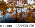 Autumn leaves at Yufuin Lake Kinrinko 134439156