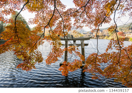 Autumn leaves at Yufuin Lake Kinrinko 134439157