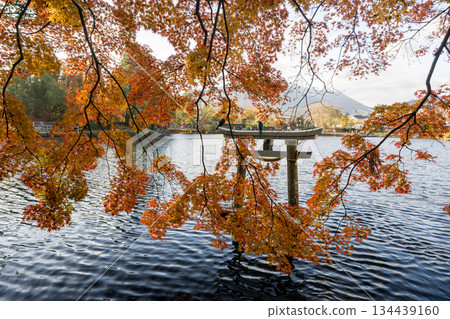 Autumn leaves at Yufuin Lake Kinrinko 134439160