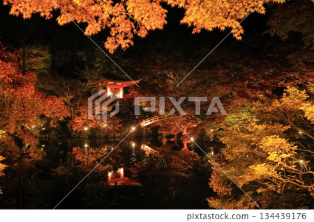 Illumination of Daigoji Temple Illumination of Daigoji Temple 134439176