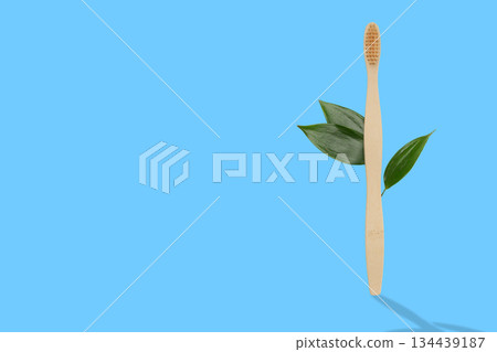 Toothbrush stands with leaves against a blue background Toothbrush stands with leaves against a blue background 134439187