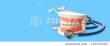 Tooth care shown with a dental model and stethoscope 134439200