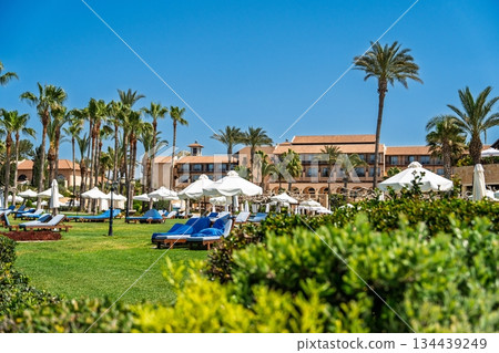 Idyllic Resort Oasis Lush Green Lawn, Palm Trees, and Luxurious Loungers Under Blue Skies Idyllic Resort Oasis Lush Green Lawn, Palm Trees, and Luxurious Loungers Under Blue Skies 134439249