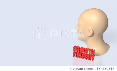Human Mind Growth Mindset Concept 3d render. 134439312