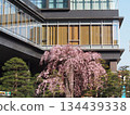 城市裡的春天 134439338