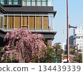 早春依然 134439339