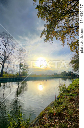 Serene morning aquatic scene, Tranquil water with clouds and trees Serene morning aquatic scene, Tranquil water with clouds and trees 134439457