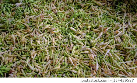 Papaya Flowers and Buds Pattern Background 134439557