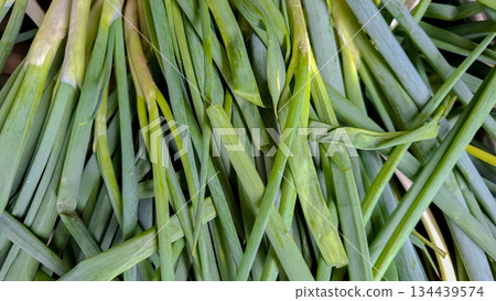 Fresh Green Scallions Pile Close Up Background Fresh Green Scallions Pile Close Up Background 134439574