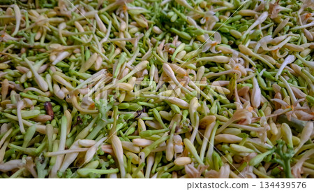 Papaya Flower Buds Close Up Texture Background 134439576