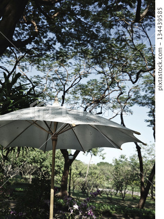 Original photo white umbrella in the forest park outdoor cafe vacation lifestyle neutral organicity Original photo white umbrella in the forest park outdoor cafe vacation lifestyle neutral organicity 134439585