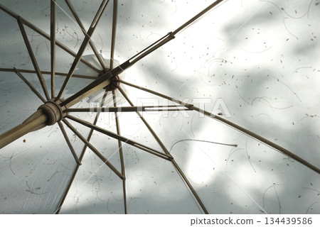 Original photo closeup white umbrella parasol visible bamboo structure sun lounge outdoor cafe Original photo closeup white umbrella parasol visible bamboo structure sun lounge outdoor cafe 134439586