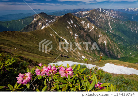 谷川山上的杜鵑花和上越邊境山脊上的殘雪 134439754
