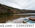 Marunuma Lake, Autumn, Cloudy 134439907