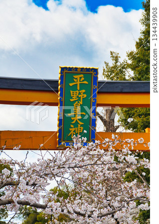 Hirano Shrine, a famous cherry blossom spot in Kyoto (Kita Ward, Kyoto City, Kyoto Prefecture) 134439908
