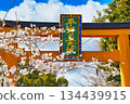 Hirano Shrine, a famous cherry blossom spot in Kyoto (Kita Ward, Kyoto City, Kyoto Prefecture) 134439915