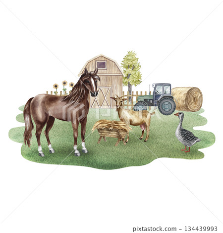 Farmyard. Hand-drawn watercolor illustration. A horse, a goat, and a goose in an agricultural yard with a barn, hay, a tractor, and more. The concept of the agricultural and livestock industry. 134439993