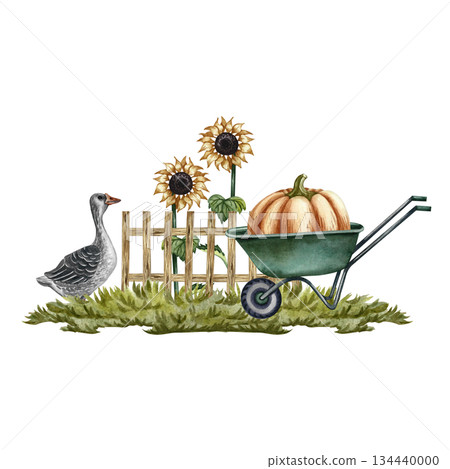 A large pumpkin on a wheelbarrow, a goose, a wooden fence, and sunflowers. Hand-drawn watercolor illustration. Garden concept. Design element for banners, stickers, postcards, and more. A large pumpkin on a wheelbarrow, a goose, a wooden fence, and sunflowers. Hand-drawn watercolor illustration. Garden concept. Design element for banners, stickers, postcards, and more. 134440000