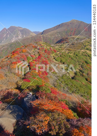 大分縣九重山脈，忽宿山、三俁山和法勝山的秋葉 134440183