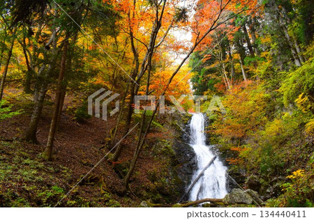 [Nikko City, Tochigi Prefecture] Autumn leaves, Jakko Falls, Jakko Falls 134440411