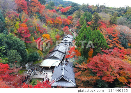 京都東山清水寺的庭院被秋葉染成了五彩斑斕的顏色。 134440535