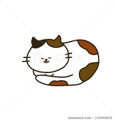 三色貓蜷縮著睡覺 三色貓蜷縮著睡覺 134440655