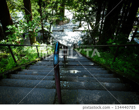 Stairs of Togakushi Shrine's Hokosha Shrine Stairs of Togakushi Shrine's Hokosha Shrine 134440785