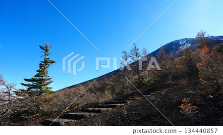 從禦中道第五合目眺望富士山頂峰 從禦中道第五合目眺望富士山頂峰 134440857