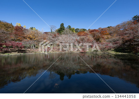 Autumn leaves of work park Autumn leaves of work park 134441058