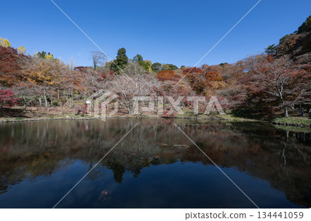 Autumn leaves of work park Autumn leaves of work park 134441059