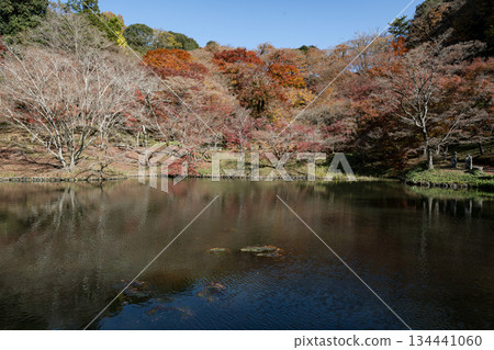 Autumn leaves of work park Autumn leaves of work park 134441060