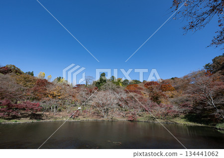 Autumn leaves of work park Autumn leaves of work park 134441062
