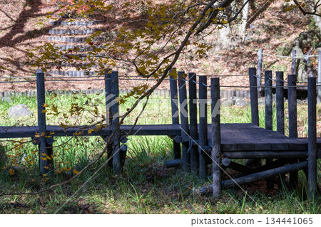 工作公園秋葉 134441065