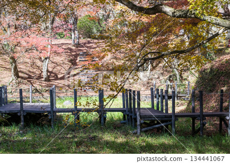 Autumn leaves of work park Autumn leaves of work park 134441067