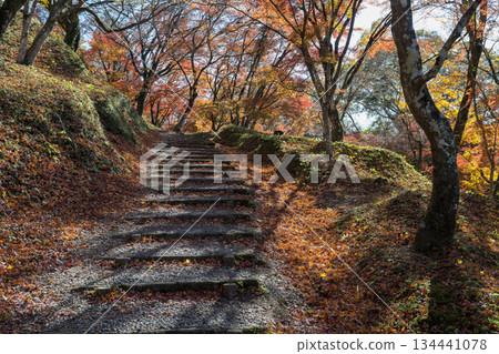 Autumn leaves of work park Autumn leaves of work park 134441078