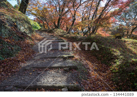 Autumn leaves of work park Autumn leaves of work park 134441089