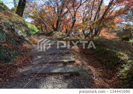 Autumn leaves of work park Autumn leaves of work park 134441090