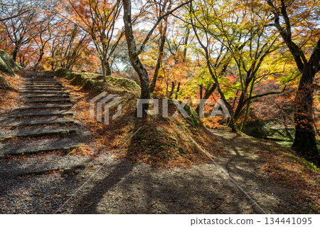 Autumn leaves of work park Autumn leaves of work park 134441095