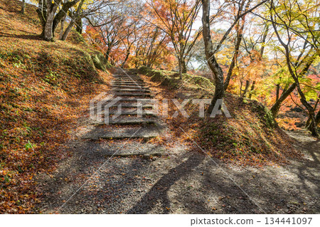 工作公園秋葉 工作公園秋葉 134441097