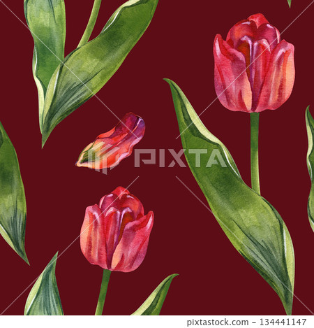 Sophisticated botanical wallpaper design featuring a seamless repeat of red tulips. Hand-painted watercolor floral pattern suitable for modern interior decor, wall art, and eco-friendly packaging 134441147