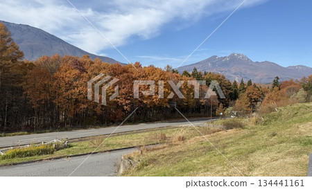 黑姬山和妙高山的晚秋紅葉 黑姬山和妙高山的晚秋紅葉 134441161