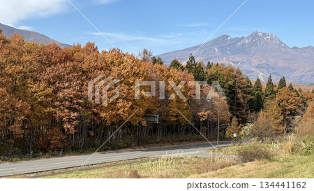 Late Autumn: Autumn Foliage on Mt. Myoko 134441162