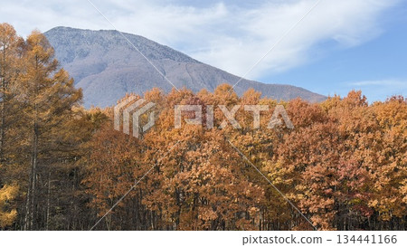 Mt. Kurohime and autumn leaves in late autumn Mt. Kurohime and autumn leaves in late autumn 134441166