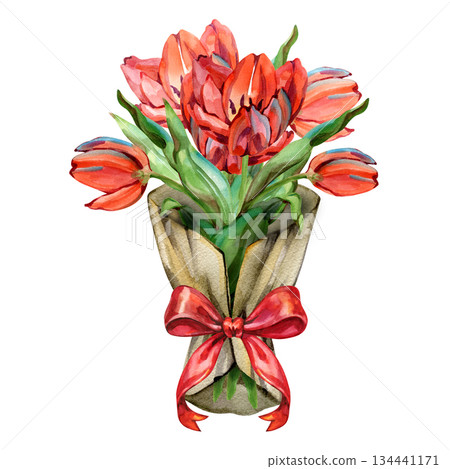 Watercolor tulip gift bouquet wrapped in craft paper and tied with a red ribbon. Bright spring floral illustration ideal for greeting cards, celebration designs, packaging, branding, posters and Watercolor tulip gift bouquet wrapped in craft paper and tied with a red ribbon. Bright spring floral illustration ideal for greeting cards, celebration designs, packaging, branding, posters and 134441171