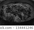 Incense sticks burning in a temple incense burner Black and white photo 134441246