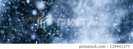 Image of snow falling quietly and deeply Image of snow falling quietly and deeply 134441377