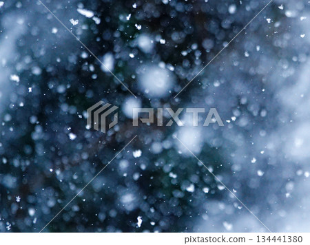 雪花靜靜地、深深飄落的畫面 134441380