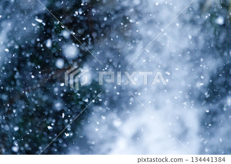 Image of snow falling quietly and deeply 134441384
