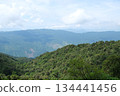 Vietnam Danang Misty mountains and lush forest view from Ba Na Hills near Da Nang Vietnam panoramic scenic landscape with clouds fog and tropical greenery. 134441456