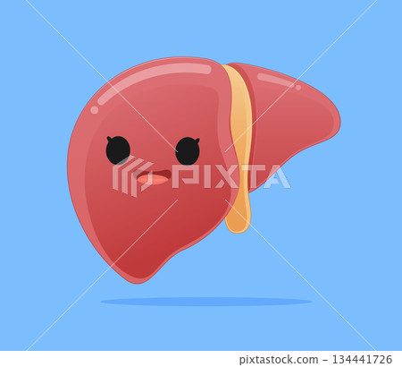 a cute liver character smiling happily, representing good condition and health. Flat style illustration. a cute liver character smiling happily, representing good condition and health. Flat style illustration. 134441726